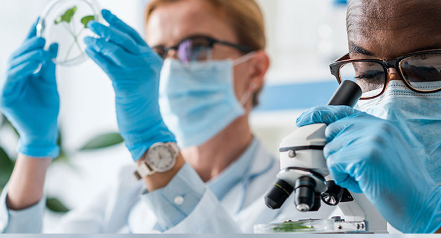 Best lawyer company in Dubai